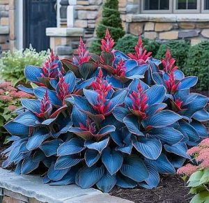 Хоста Грин Фог купить по цене от 669р. в интернет-магазине «Посадика» с доставкой почтой в в Удачныйе и по всей России – [изображение №1].