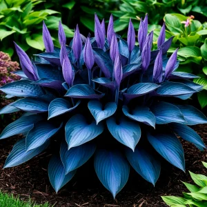 Хоста Сикрет Гров купить по цене от 570р. в интернет-магазине «Посадика» с доставкой почтой в в Удачныйе и по всей России – [изображение №1].